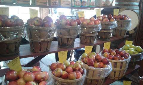 Jobs in Sharon Orchards - reviews